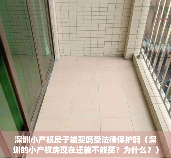 深圳小产权房子能买吗受法律保护吗（深圳的小产权房现在还能不能买？为什么？）