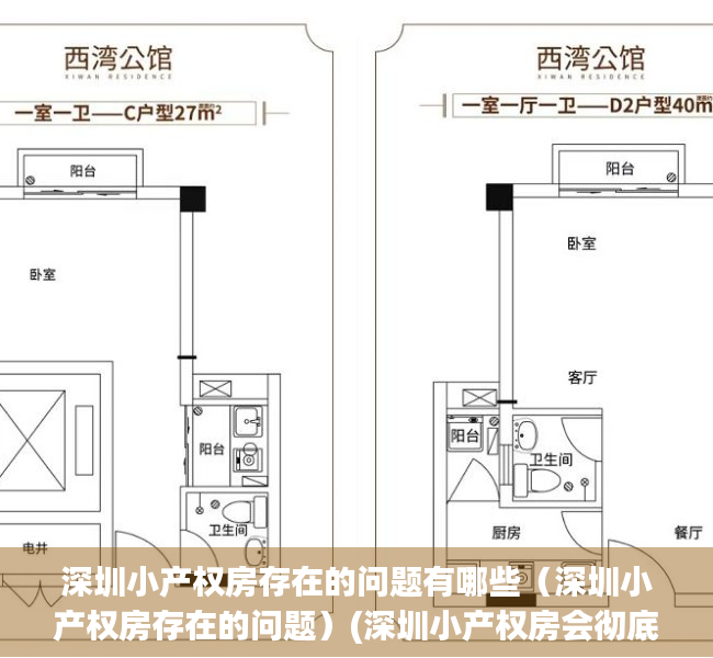 深圳小产权房存在的问题有哪些（深圳小产权房存在的问题）(深圳小产权房会彻底凉吗)