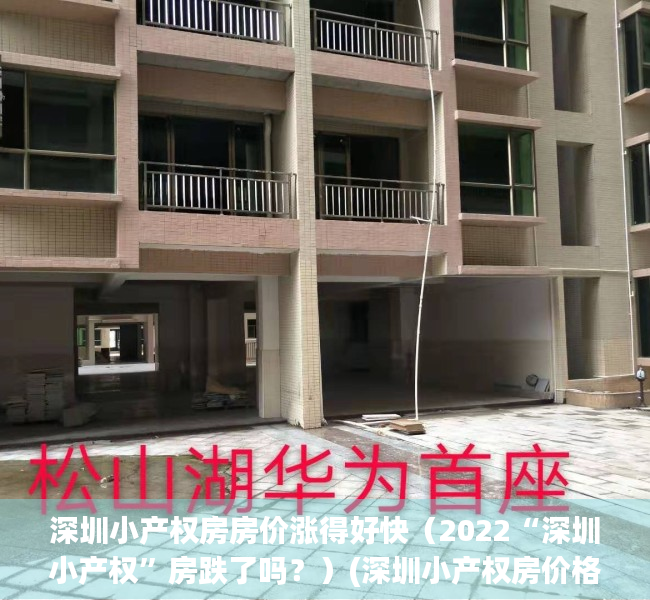 深圳小产权房房价涨得好快（2022“深圳小产权”房跌了吗？）(深圳小产权房价格2020)