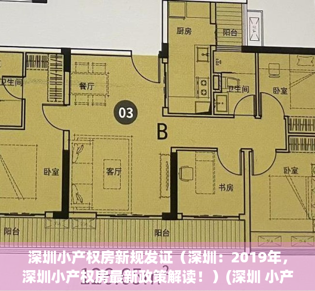 深圳小产权房新规发证（深圳：2019年，深圳小产权房最新政策解读！）(深圳 小产权 政策)