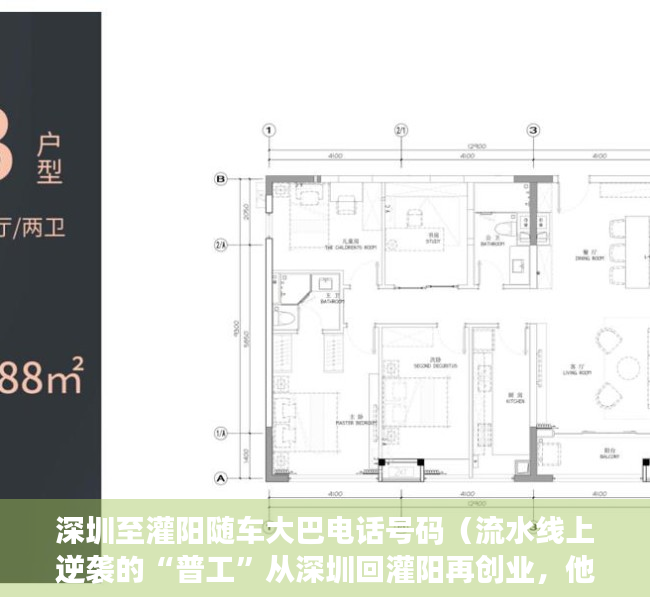 深圳至灌阳随车大巴电话号码（流水线上逆袭的“普工”从深圳回灌阳再创业，他找到了什么商机？ 波士驾到）