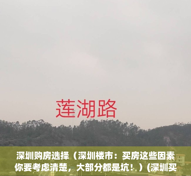 深圳购房选择（深圳楼市：买房这些因素你要考虑清楚，大部分都是坑！）(深圳买房考虑哪些因素)