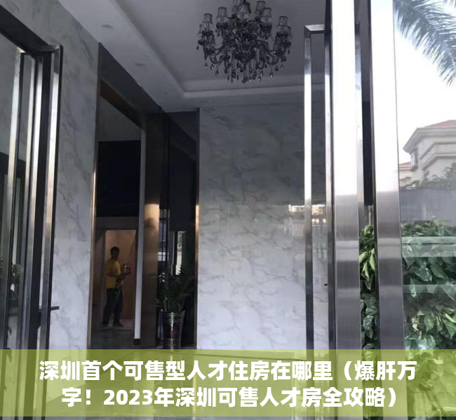 深圳首个可售型人才住房在哪里（爆肝万字！2023年深圳可售人才房全攻略）