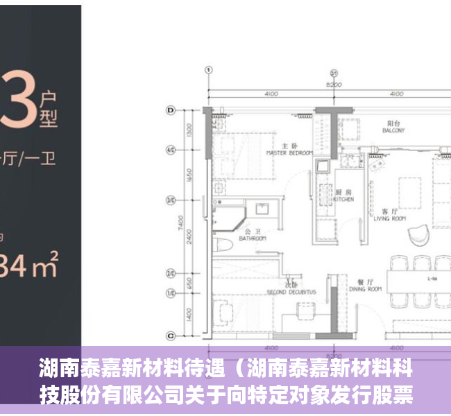 湖南泰嘉新材料待遇（湖南泰嘉新材料科技股份有限公司关于向特定对象发行股票申请获得深圳证券交易所受理的公告）