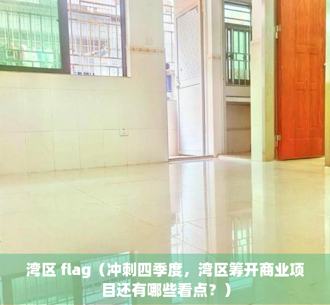 湾区 flag（冲刺四季度，湾区筹开商业项目还有哪些看点？）