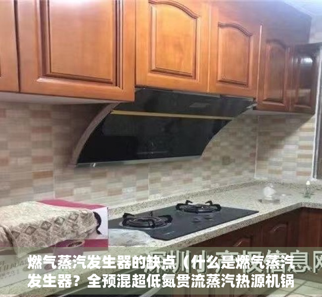 燃气蒸汽发生器的缺点（什么是燃气蒸汽发生器？全预混超低氮贯流蒸汽热源机锅炉多少钱）