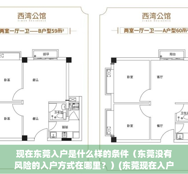 现在东莞入户是什么样的条件（东莞没有风险的入户方式在哪里？）(东莞现在入户政策)