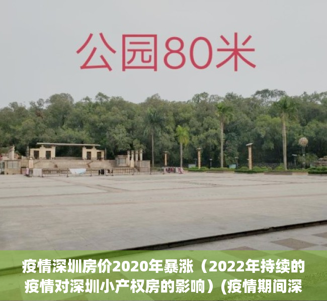 疫情深圳房价2020年暴涨（2022年持续的疫情对深圳小产权房的影响）(疫情期间深圳房价还在涨)