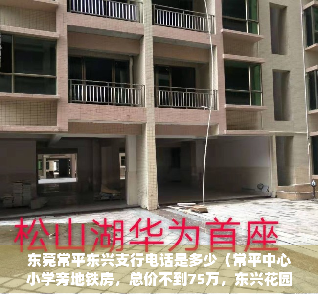 东莞常平东兴支行电话是多少（常平中心小学旁地铁房，总价不到75万，东兴花园到底能不能买？）