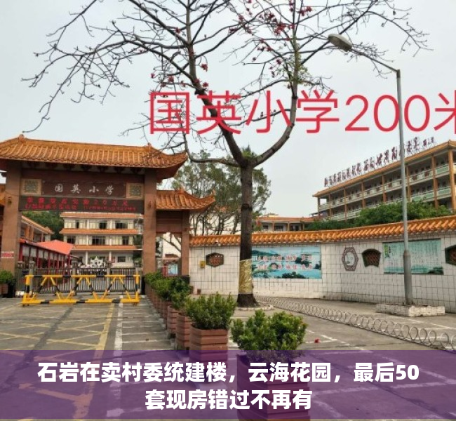 石岩在卖村委统建楼，云海花园，最后50套现房错过不再有