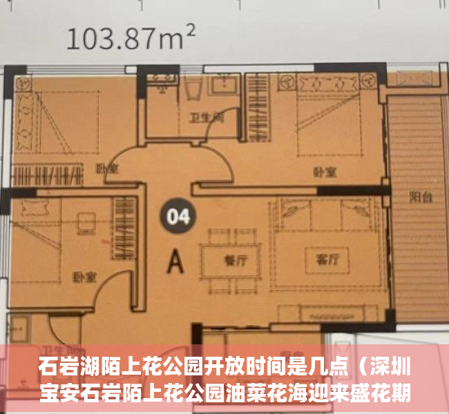 石岩湖陌上花公园开放时间是几点（深圳宝安石岩陌上花公园油菜花海迎来盛花期）