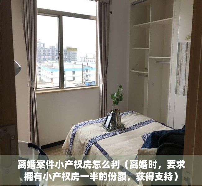 离婚案件小产权房怎么判（离婚时，要求拥有小产权房一半的份额，获得支持）