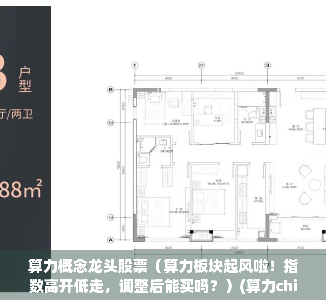 算力概念龙头股票（算力板块起风啦！指数高开低走，调整后能买吗？）(算力chia)