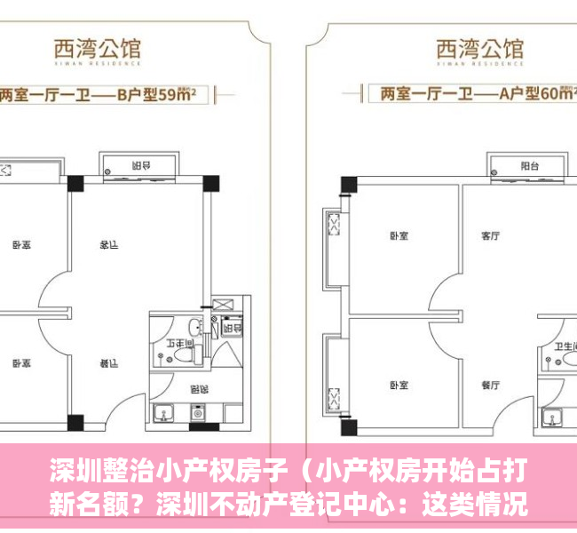 深圳整治小产权房子（小产权房开始占打新名额？深圳不动产登记中心：这类情况受影响）