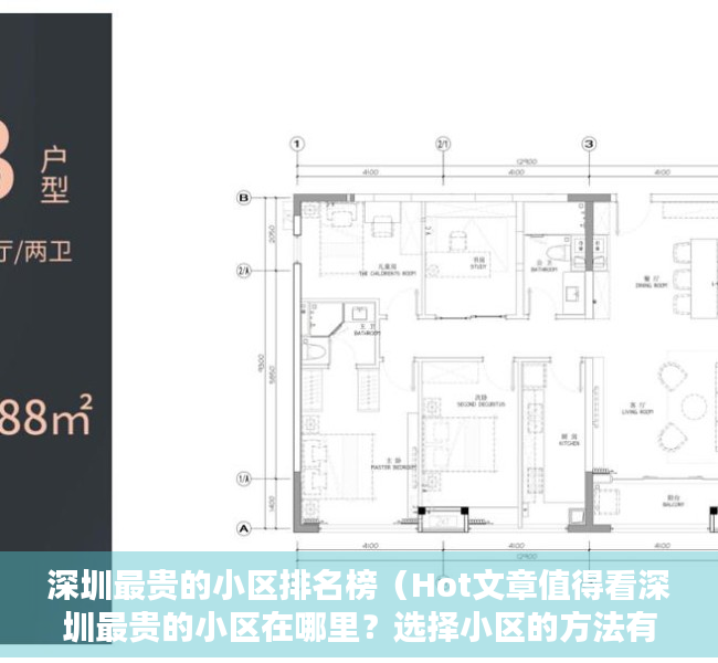 深圳最贵的小区排名榜（Hot文章值得看深圳最贵的小区在哪里？选择小区的方法有哪些？）