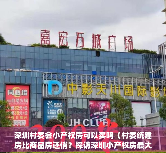 深圳村委会小产权房可以买吗（村委统建房比商品房还俏？探访深圳小产权房最大聚集地（附提醒））