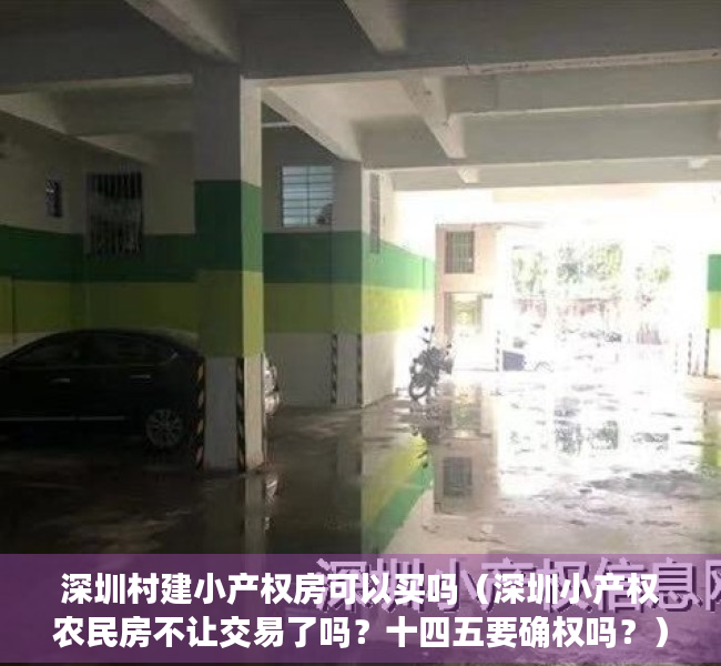 深圳村建小产权房可以买吗（深圳小产权农民房不让交易了吗？十四五要确权吗？）