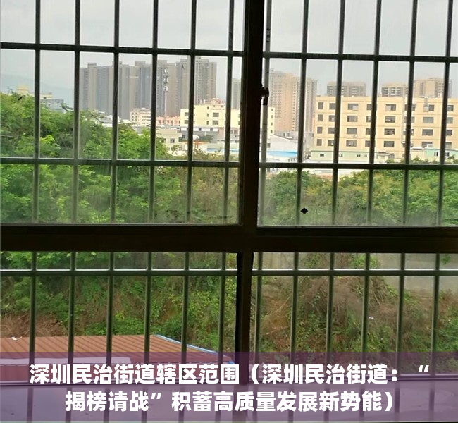 深圳民治街道辖区范围（深圳民治街道：“揭榜请战”积蓄高质量发展新势能）