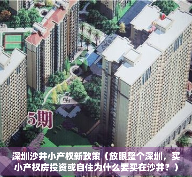 深圳沙井小产权新政策（放眼整个深圳，买小产权房投资或自住为什么要买在沙井？）