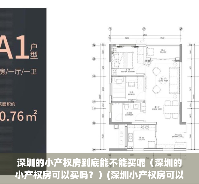 深圳的小产权房到底能不能买呢（深圳的小产权房可以买吗？）(深圳小产权房可以购买吗)