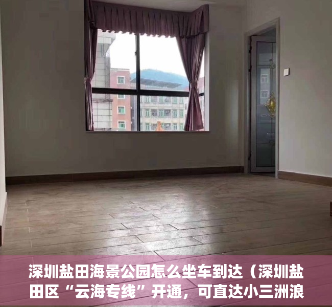 深圳盐田海景公园怎么坐车到达（深圳盐田区“云海专线”开通，可直达小三洲浪漫樱花林）