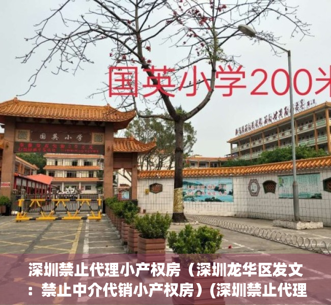 深圳禁止代理小产权房（深圳龙华区发文：禁止中介代销小产权房）(深圳禁止代理销售小产权房)