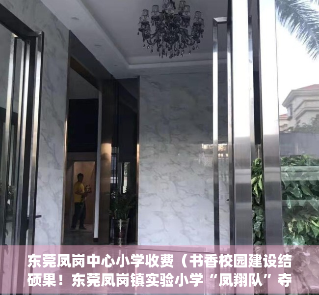 东莞凤岗中心小学收费（书香校园建设结硕果！东莞凤岗镇实验小学“凤翔队”夺得团体冠军）