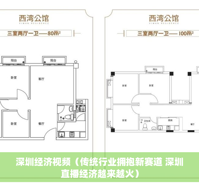 深圳经济视频（传统行业拥抱新赛道 深圳直播经济越来越火）