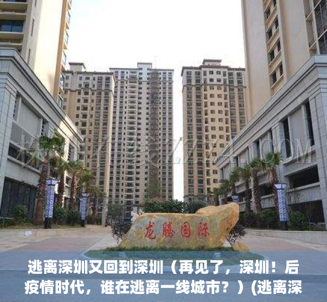 逃离深圳又回到深圳（再见了，深圳！后疫情时代，谁在逃离一线城市？）(逃离深圳2020)