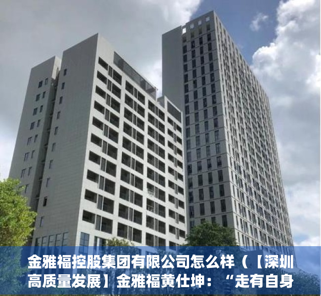 金雅福控股集团有限公司怎么样（【深圳高质量发展】金雅福黄仕坤：“走有自身特色的产业之路”）