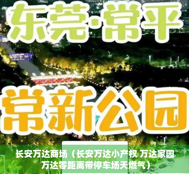 长安万达商场（长安万达小产权 万达家园 万达零距离带停车场天燃气）