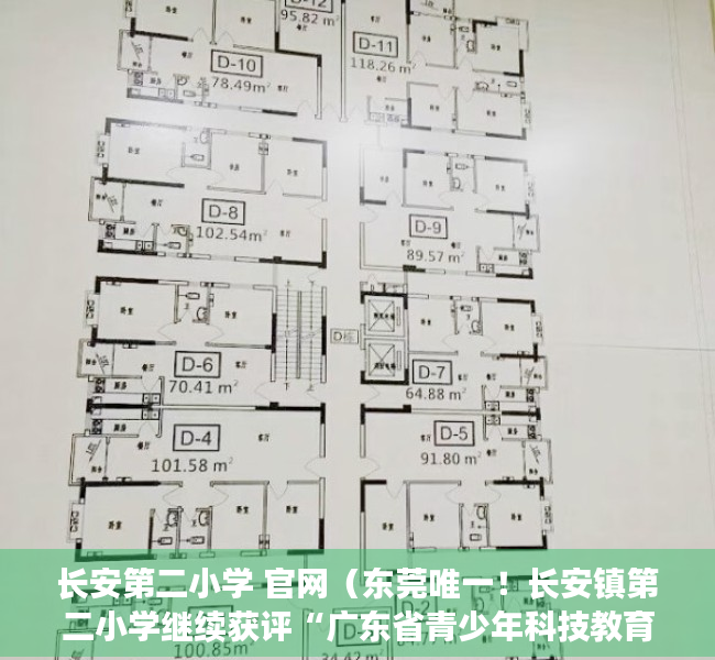 长安第二小学 官网（东莞唯一！长安镇第二小学继续获评“广东省青少年科技教育创新团队”）