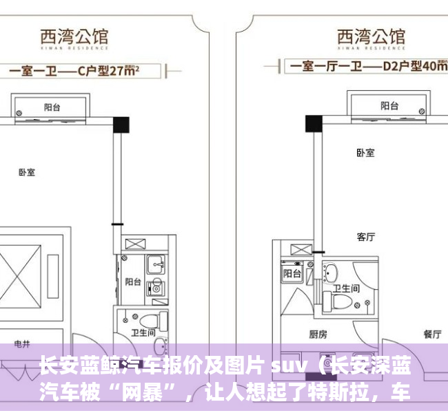 长安蓝鲸汽车报价及图片 suv（长安深蓝汽车被“网暴”，让人想起了特斯拉，车价、房价只能涨？）