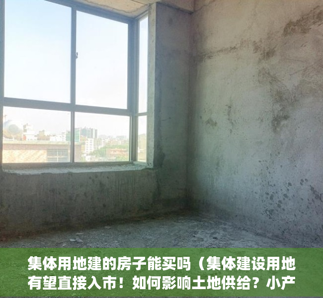 集体用地建的房子能买吗（集体建设用地有望直接入市！如何影响土地供给？小产权房会转正吗？）