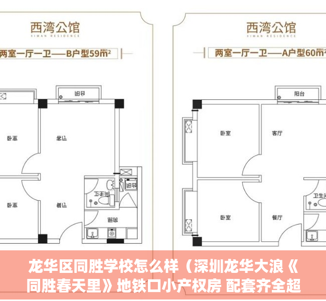 龙华区同胜学校怎么样（深圳龙华大浪《同胜春天里》地铁口小产权房 配套齐全超低价）