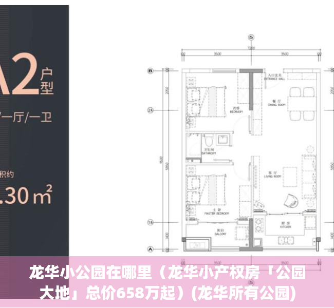 龙华小公园在哪里（龙华小产权房「公园大地」总价658万起）(龙华所有公园)