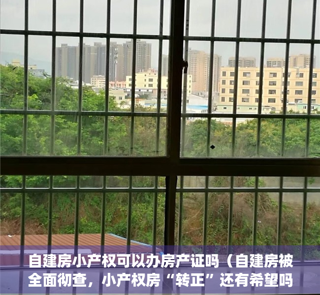 自建房小产权可以办房产证吗（自建房被全面彻查，小产权房“转正”还有希望吗？别花冤枉钱了）