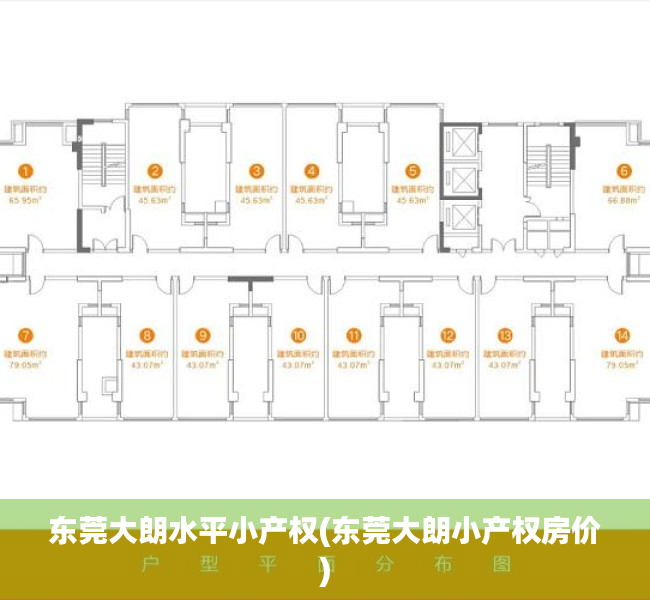 东莞大朗水平小产权(东莞大朗小产权房价)