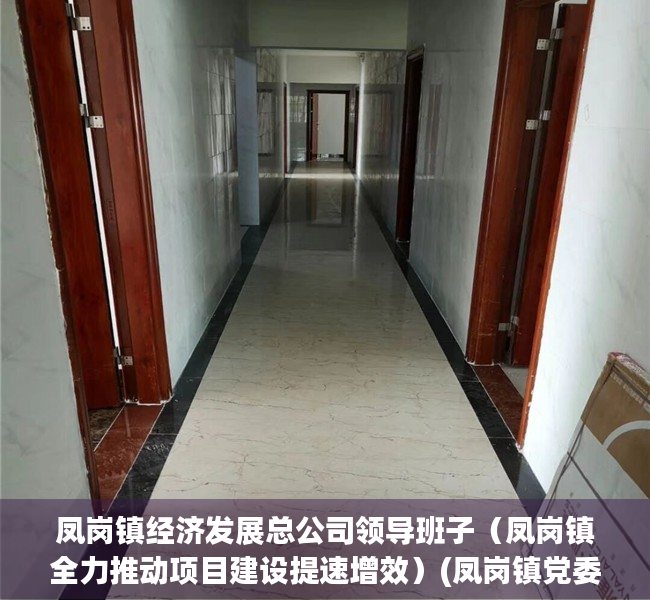 凤岗镇经济发展总公司领导班子（凤岗镇全力推动项目建设提速增效）(凤岗镇党委)