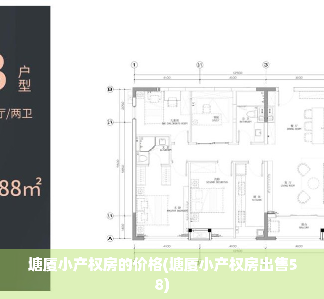 塘厦小产权房的价格(塘厦小产权房出售58)