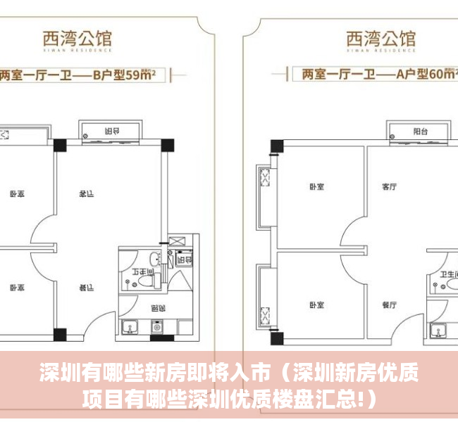 深圳有哪些新房即将入市（深圳新房优质项目有哪些深圳优质楼盘汇总!）