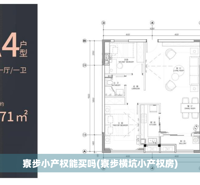 寮步小产权能买吗(寮步横坑小产权房)