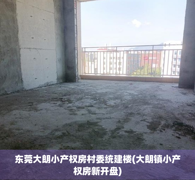 东莞大朗小产权房村委统建楼(大朗镇小产权房新开盘)