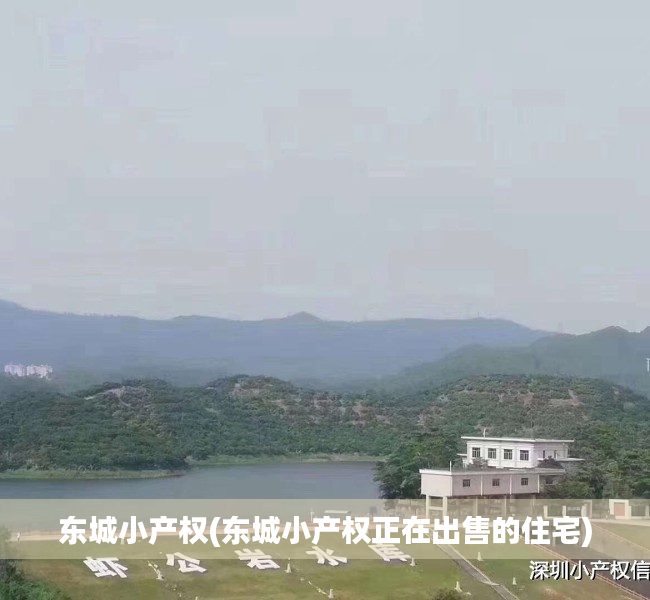 东城小产权(东城小产权正在出售的住宅)