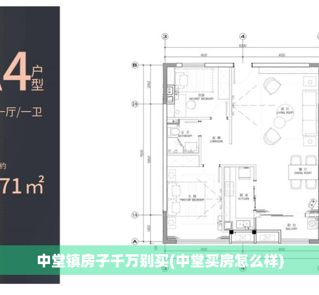 中堂镇房子千万别买(中堂买房怎么样)