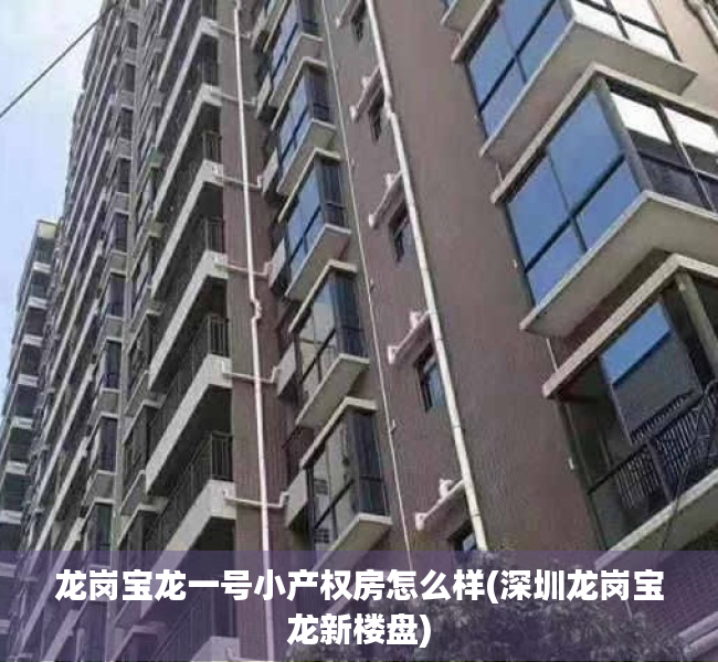 龙岗宝龙一号小产权房怎么样(深圳龙岗宝龙新楼盘)