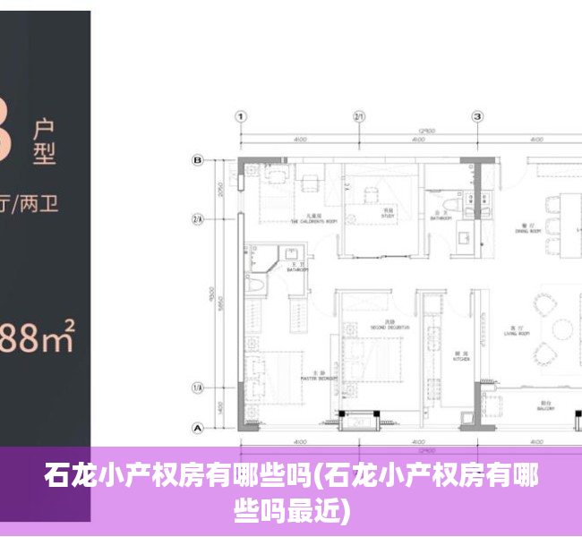 石龙小产权房有哪些吗(石龙小产权房有哪些吗最近)