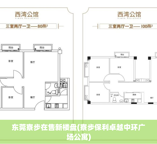 东莞寮步在售新楼盘(寮步保利卓越中环广场公寓)