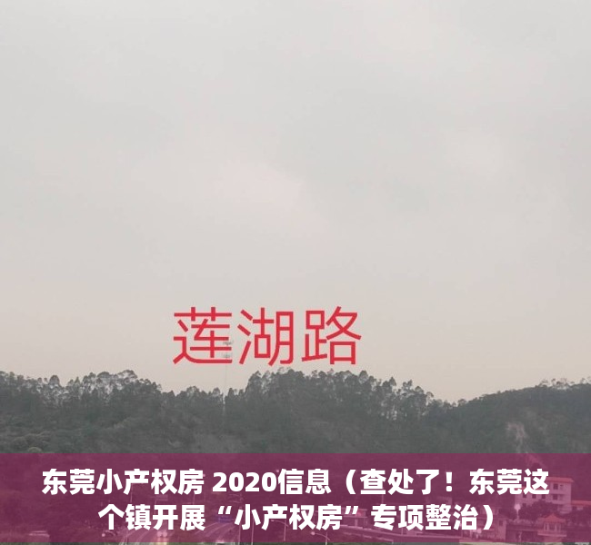 东莞小产权房 2020信息（查处了！东莞这个镇开展“小产权房”专项整治）