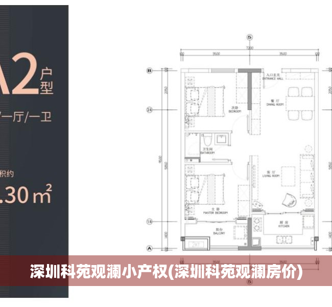 深圳科苑观澜小产权(深圳科苑观澜房价)